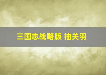 三国志战略版 抽关羽